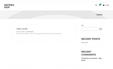 defneshop.com screenshot