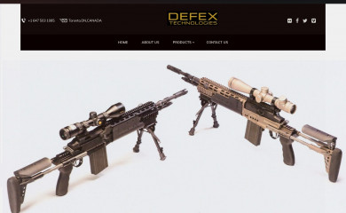 defex.ca screenshot