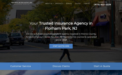 defeoagency.com screenshot