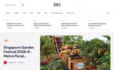 dei.com.sg screenshot
