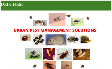 delchem.com.sg screenshot