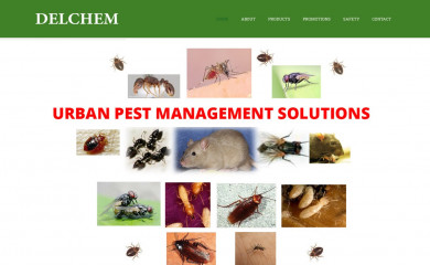 delchem.com.sg screenshot