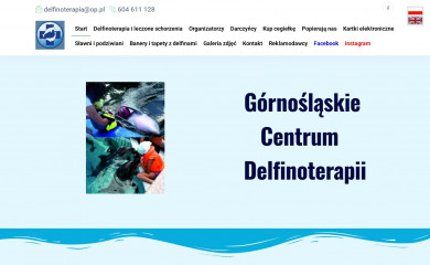 delfinoterapia.org.pl screenshot