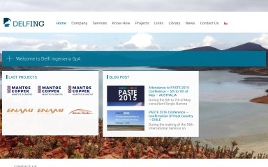 delfing.cl screenshot
