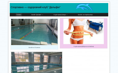 delfinsport.com.ua screenshot