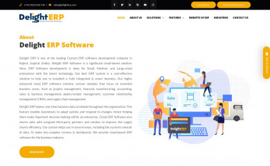 delighterp.com screenshot