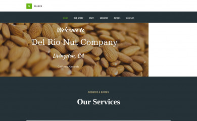 delrionut.com screenshot