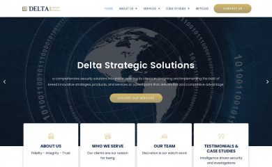 deltastrategicsolutions.com screenshot