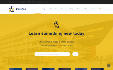 WP Diplomia screenshot