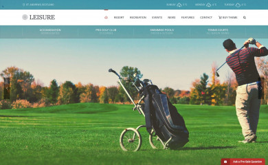 http://demo.curlythemes.com/hotel-wp/ screenshot