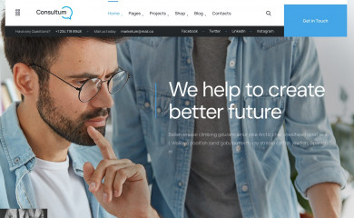 https://demo.artureanec.com/themes/consultum screenshot