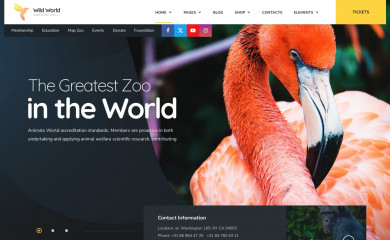 Wild World screenshot