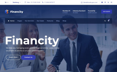 http://demo.goodlayers.com/financity screenshot