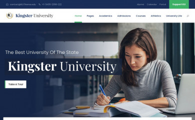 Kingster | Shared by WPTry.org screenshot