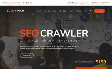 http://demo.goodlayers.com/seocrawler screenshot