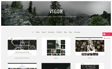 Vigor screenshot