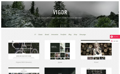 http://demo.edge-themes.com/vigor screenshot
