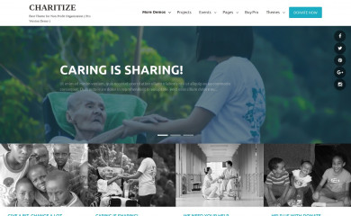 http://demo.evisionthemes.com/charitize screenshot