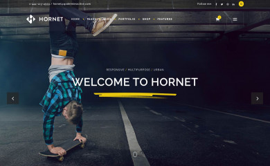 Hornet screenshot