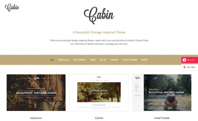 Cabin screenshot