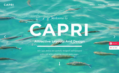 http://demo.select-themes.com/capri screenshot
