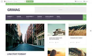 http://demo.strictthemes.com/?theme=Grimag screenshot