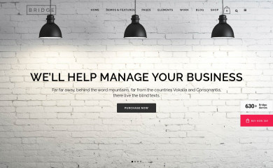 Bridge | Shared By Themes24x7.com screenshot