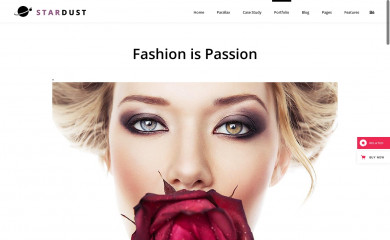 http://demo.qodeinteractive.com/stardust/f screenshot