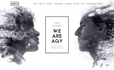 http://demo.themeton.com/nrgagency screenshot