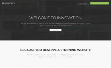 http://demo.themeruby.com/innovation/ screenshot