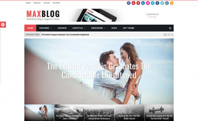 http://demo.themeruby.com/maxblog screenshot