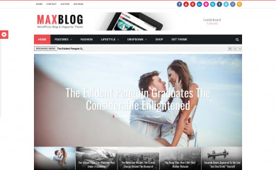Maxblog screenshot