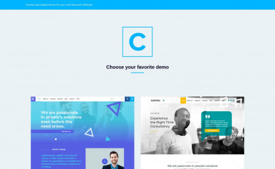 https://demo1.imithemes.com/capital-landing/ screenshot