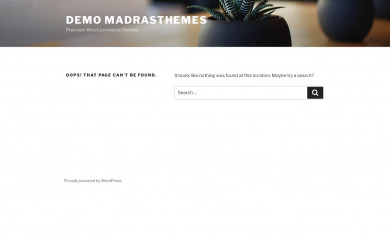https://demo2.madrasthemes.com/front-demos/main/ screenshot