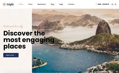 https://demo2.pavothemes.com/triply/ screenshot