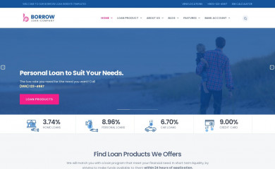 http://demowp.vegatheme.com/borrow/ screenshot