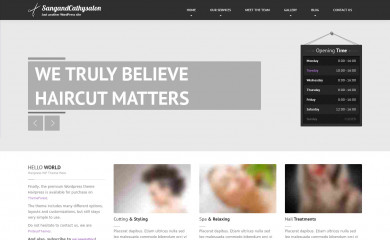 demosangandcathysalon.com screenshot