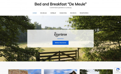 demeulemontfort.nl screenshot