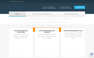demenagementbordeaux.fr screenshot