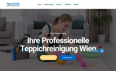 demirteppichreinigung.at screenshot