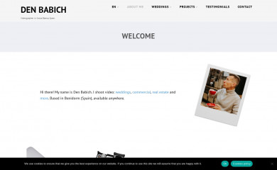 denbabich.pro screenshot