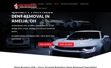 dentbustersusa.com screenshot