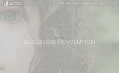 designersrev.com screenshot