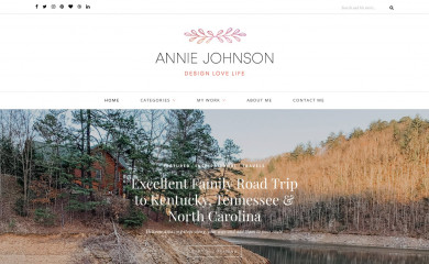 designlovelife.com screenshot