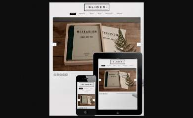 http://www.dessign.net/slider-responsive-theme screenshot