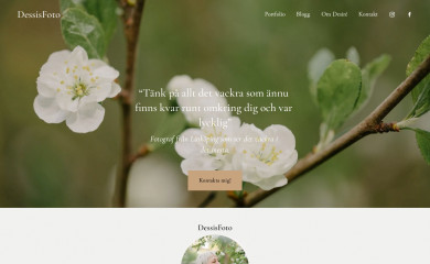 dessisfoto.se screenshot