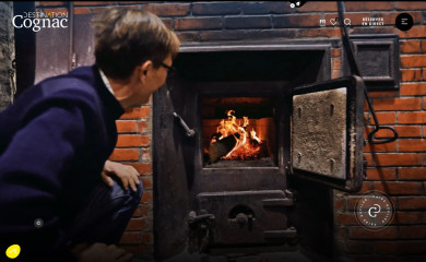 destination-cognac.com screenshot