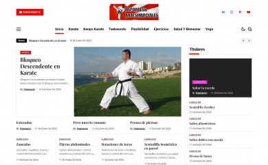 deportesyartesmarciales.com screenshot