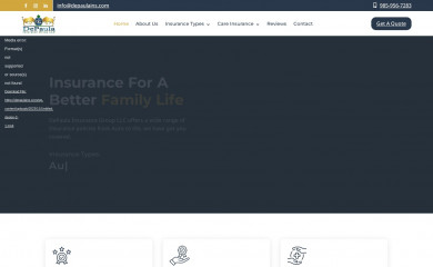 depaulains.com screenshot