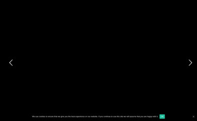 derfitmacher.info screenshot